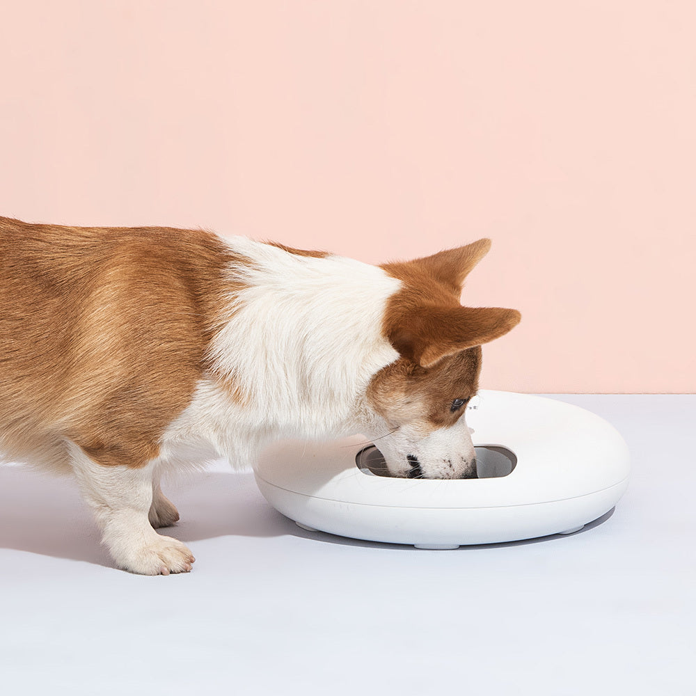 6 Meal Automatic Pet Dog Cat  Feeder Dispenser with Programmable Timer Pink